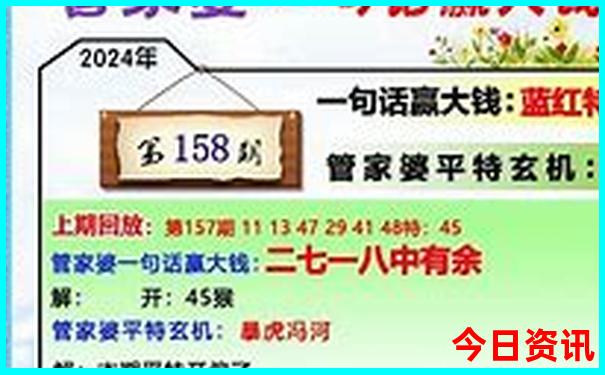 2024特马开码查询
